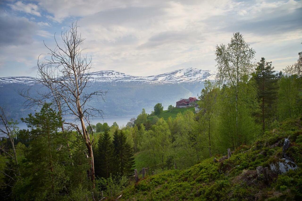 Villa Panorama View Along The Fjord In Stryn Blakset Exterior foto